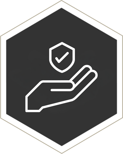 security icon